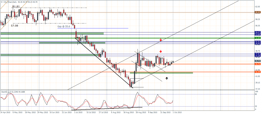 Crude Oil – Daily Chart: Bullish Divergence + Bull Flag